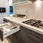 Monte Sereno Modern Kitchen