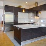 Modern kitchen san francisco bay kitchen remodeling