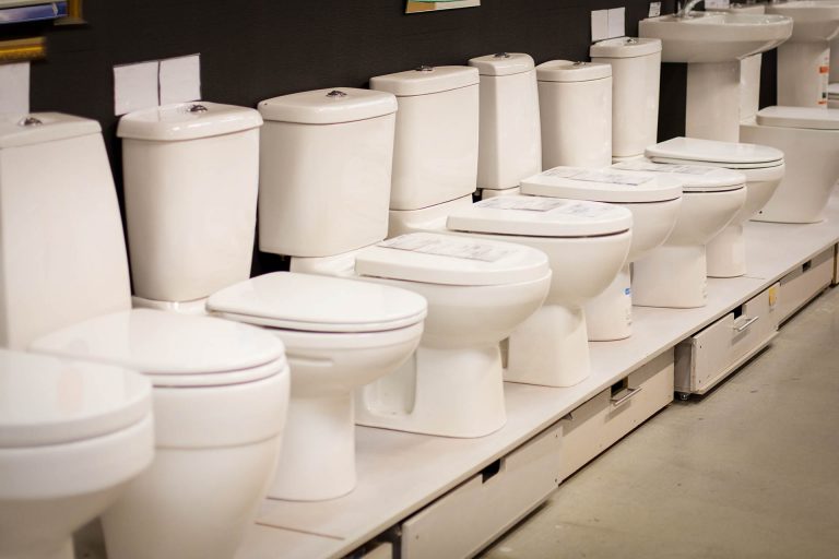 The Ultimate Guide to Buying the Best Toilet European