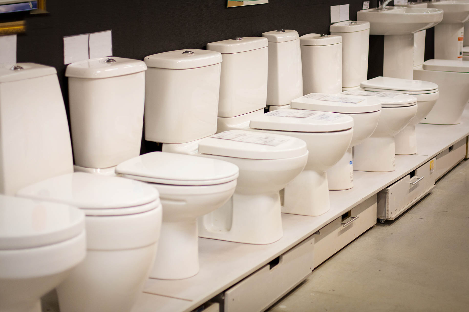 The 6 Best Toilet Seats of 2024