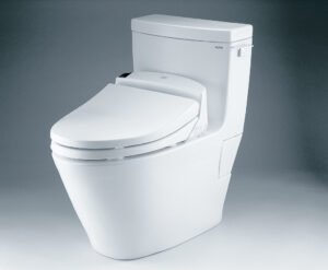 color of the toilets