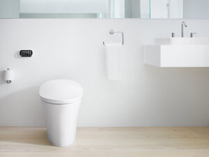 Concealed and skirted toilets 