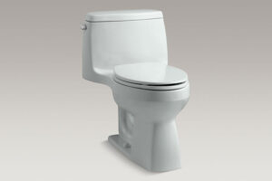 Flushing systems