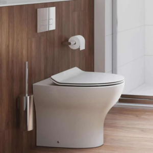 Modern Toilet or Traditional? 