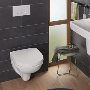 Wall Hung toilets