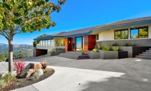 modern design sex appeal 1152 Brown